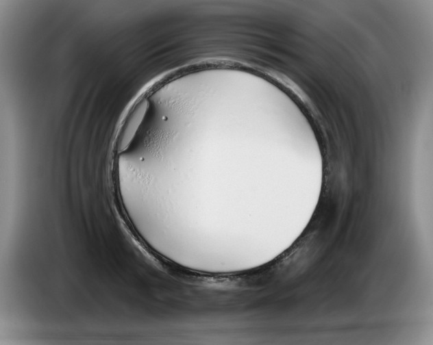 X0000083550799200703091553