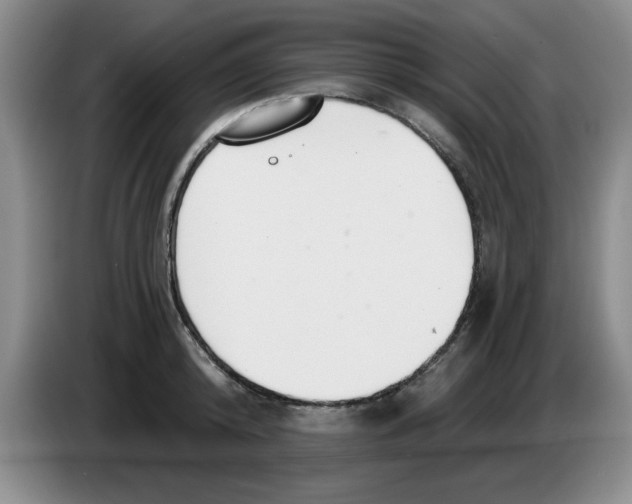 X0000083550800200703091553