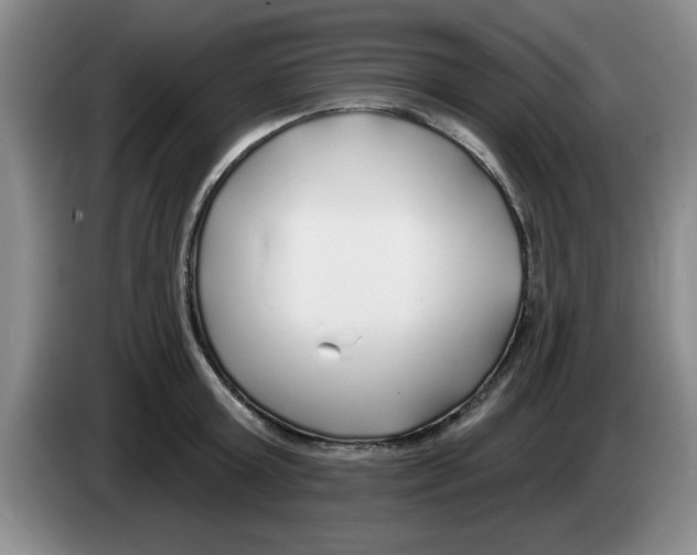 X0000083550803200703091553