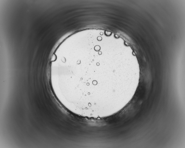 X0000083550804200703091553