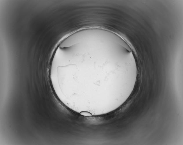 X0000083550805200703091553