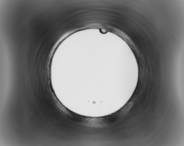X0000083550808200703091553