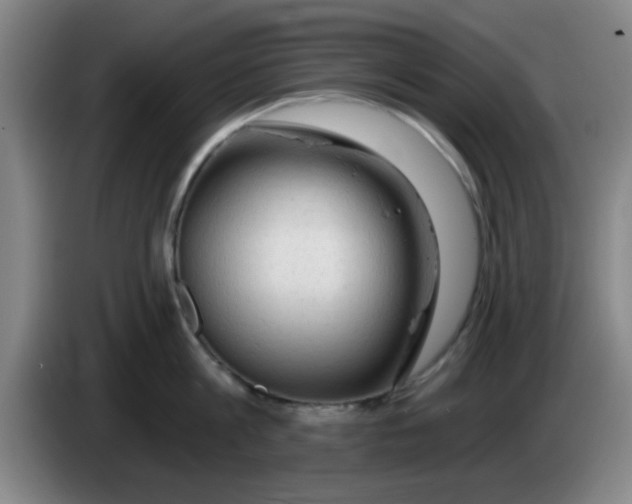X0000083550813200703091553