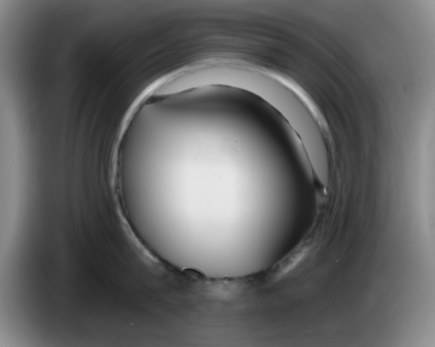 X0000083550815200703091553