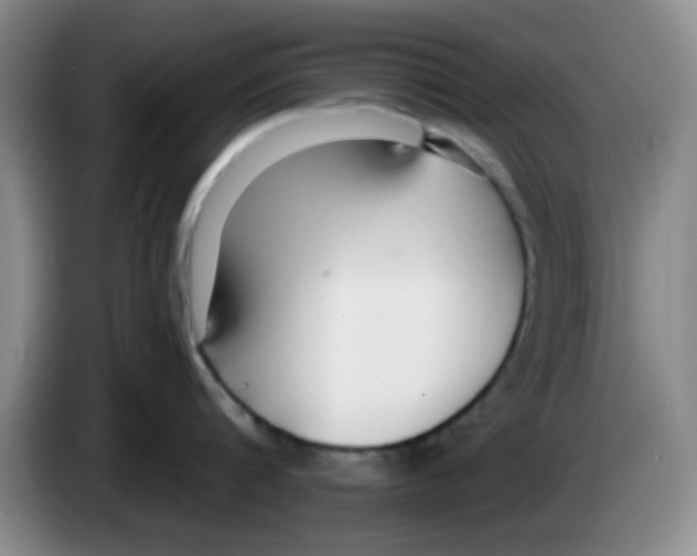 X0000083550816200703091553