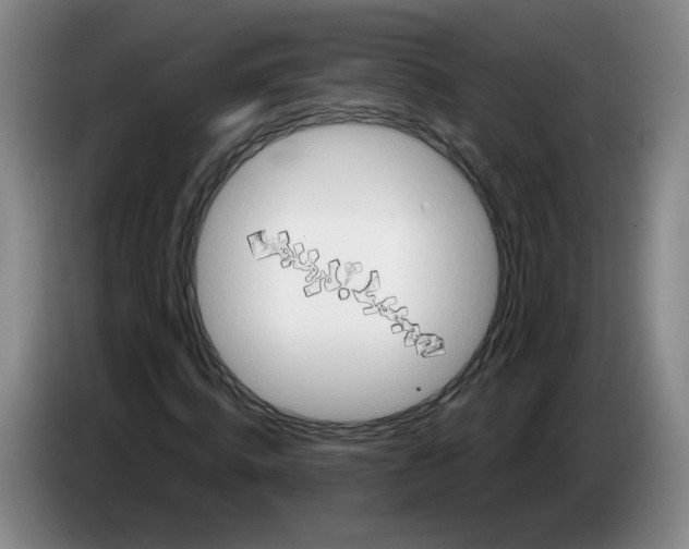 X0000083550820200703091552