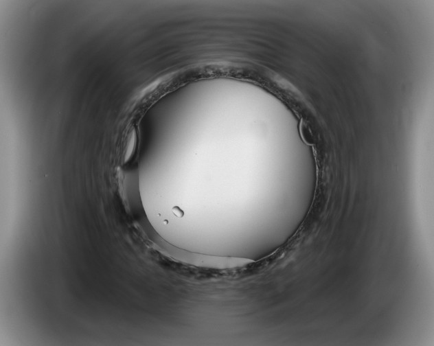 X0000083550822200703091552