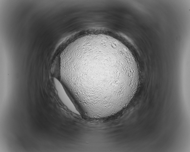 X0000083550823200703091552