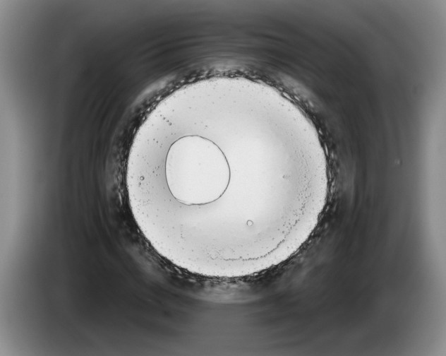 X0000083550824200703091552