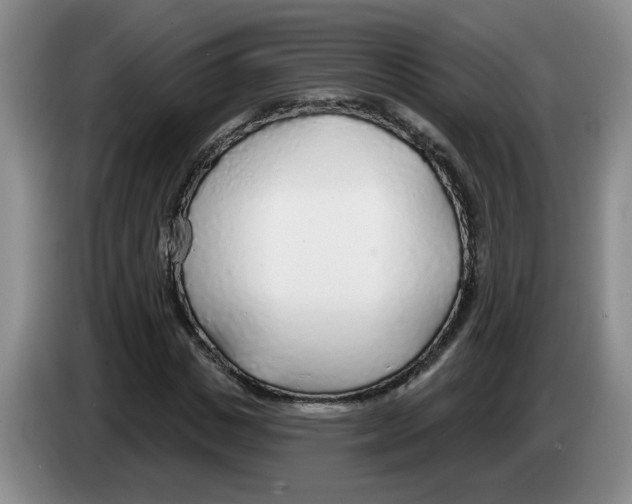 X0000083550825200703091552