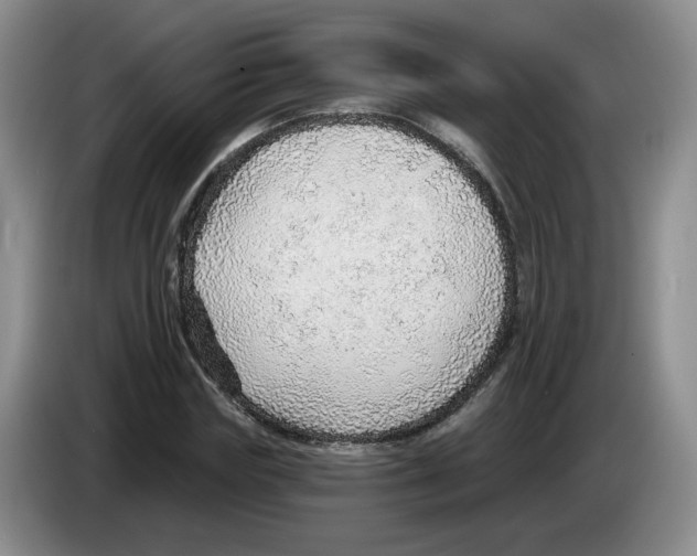 X0000083550827200703091552