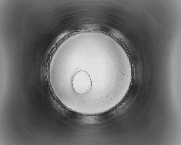 X0000083550828200703091552
