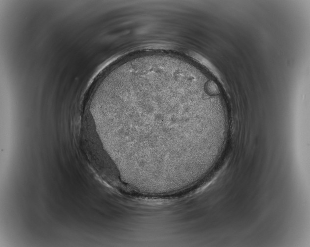 X0000083550829200703091552