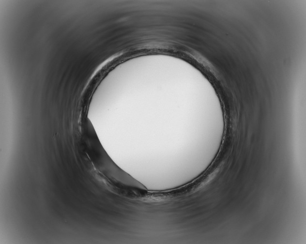 X0000083550830200703091552