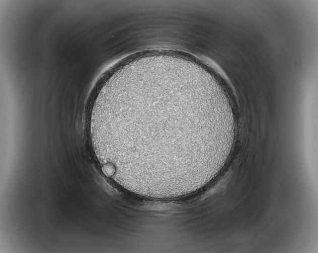 X0000083550831200703091552
