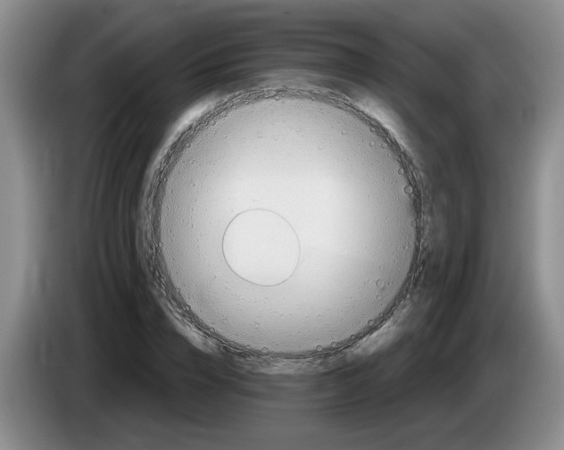 X0000083550832200703091552