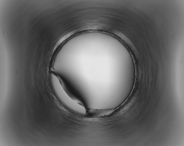 X0000083550834200703091552