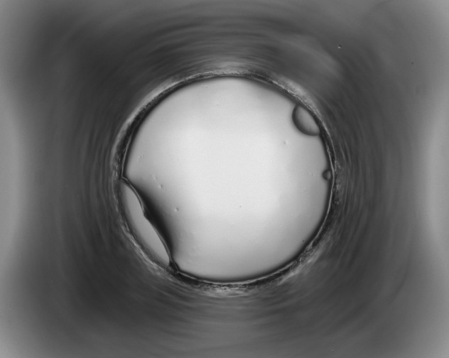 X0000083550835200703091552