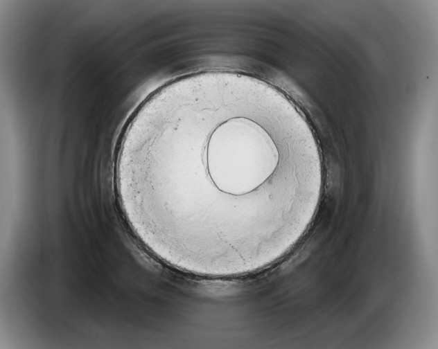 X0000083550836200703091552