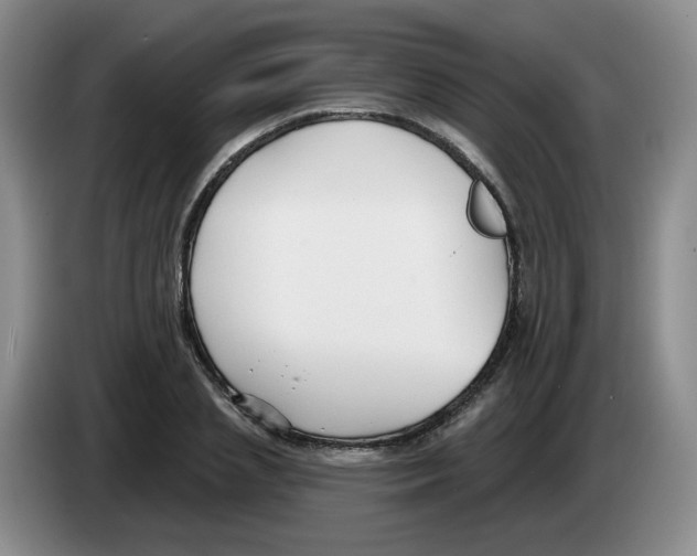 X0000083550837200703091552