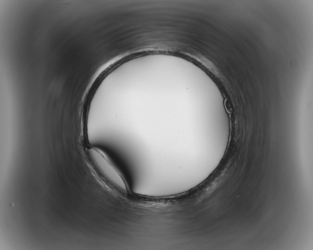 X0000083550838200703091552