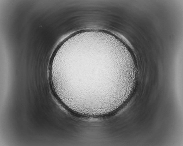 X0000083550839200703091552