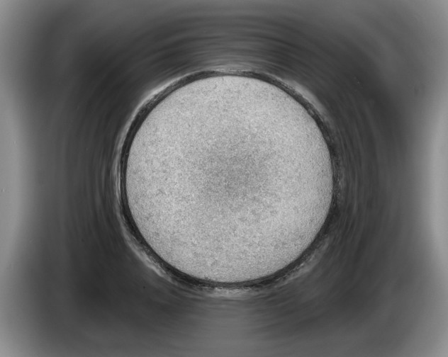 X0000083550840200703091552