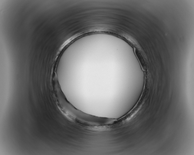 X0000083550842200703091552
