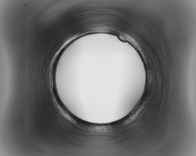 X0000083550843200703091552
