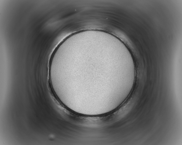 X0000083550844200703091552