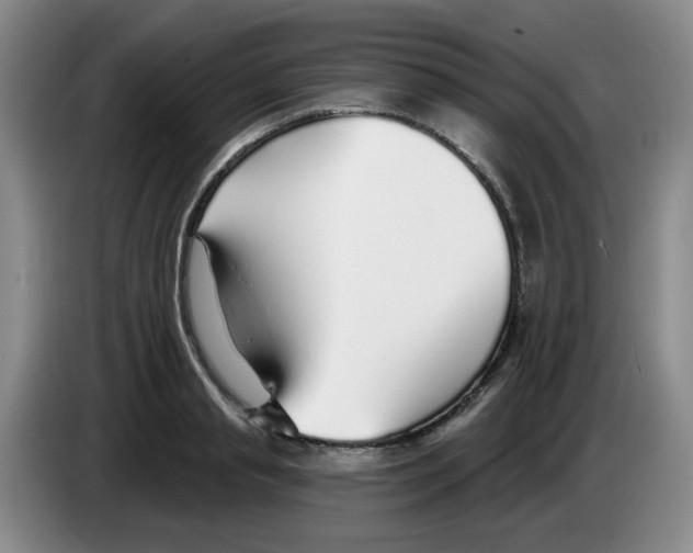 X0000083550845200703091552