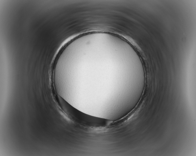 X0000083550846200703091552