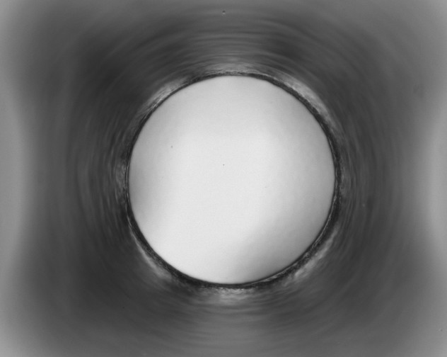 X0000083550849200703091552