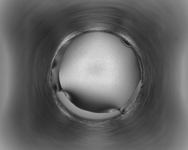 X0000083550850200703091552