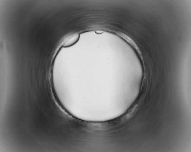 X0000083550855200703091552