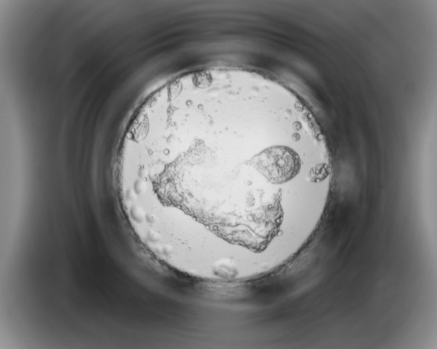 X0000083550856200703091552