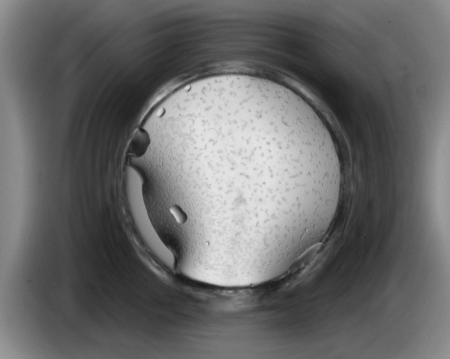 X0000083550858200703091552