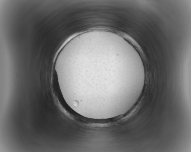 X0000083550860200703091552