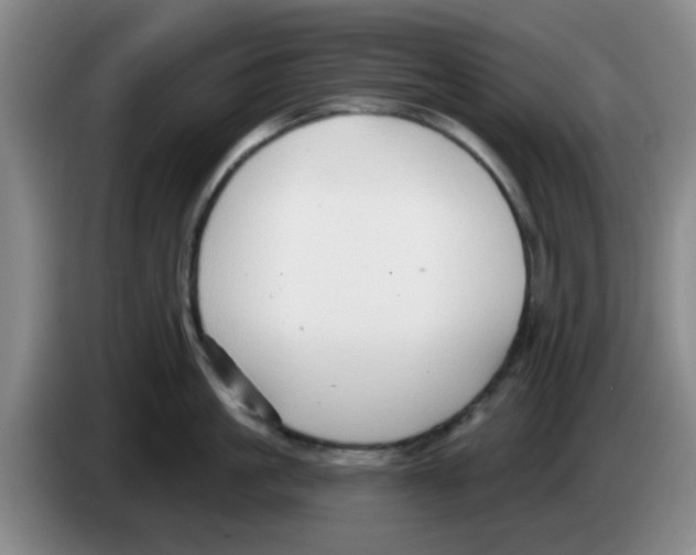 X0000083550861200703091553