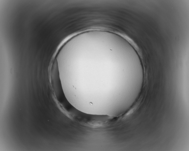 X0000083550862200703091553