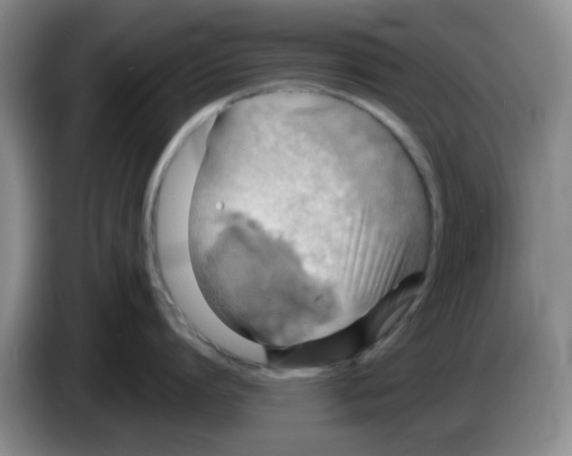 X0000083550864200703091553