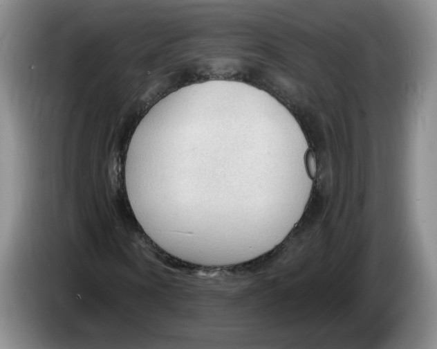 X0000083550866200703091552