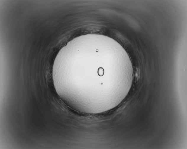 X0000083550867200703091552