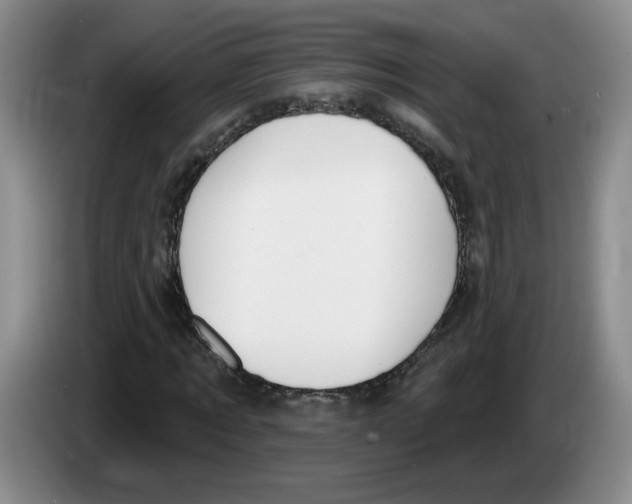 X0000083550869200703091552