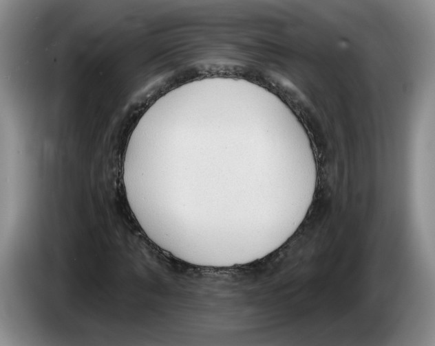 X0000083550870200703091552