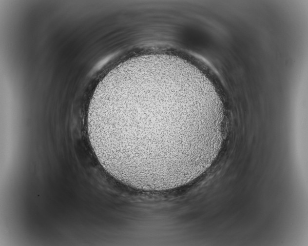X0000083550871200703091552