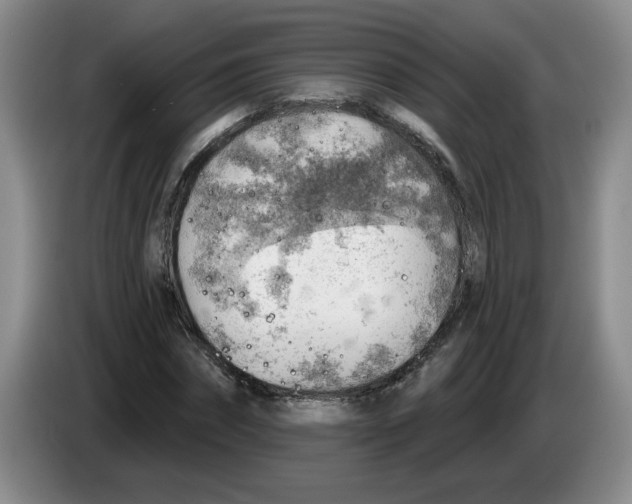 X0000083550874200703091552