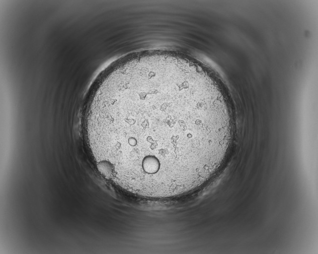 X0000083550875200703091552