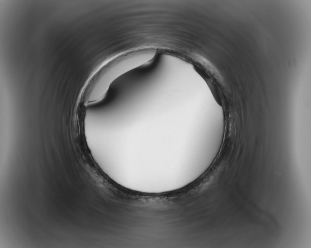 X0000083550876200703091552
