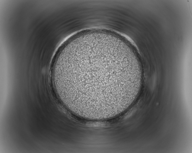 X0000083550879200703091552